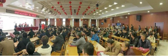 CA88科技射频电刀